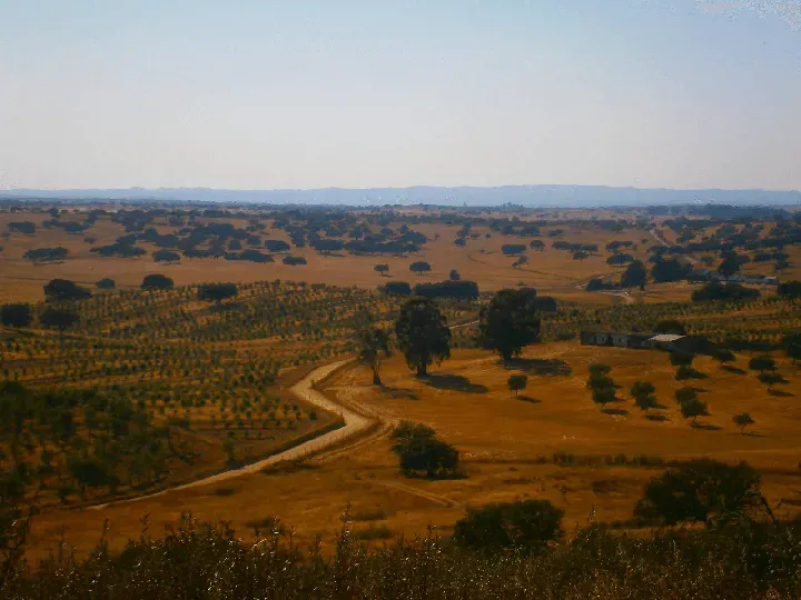 visit-almodovar-portugal-a-small-town-in-the-alentejo