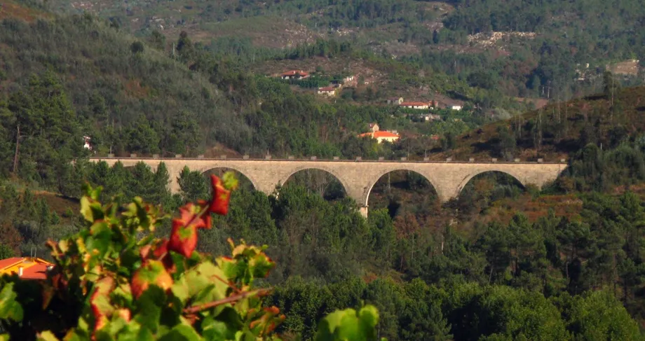 Cover photo of Matamá Bridge