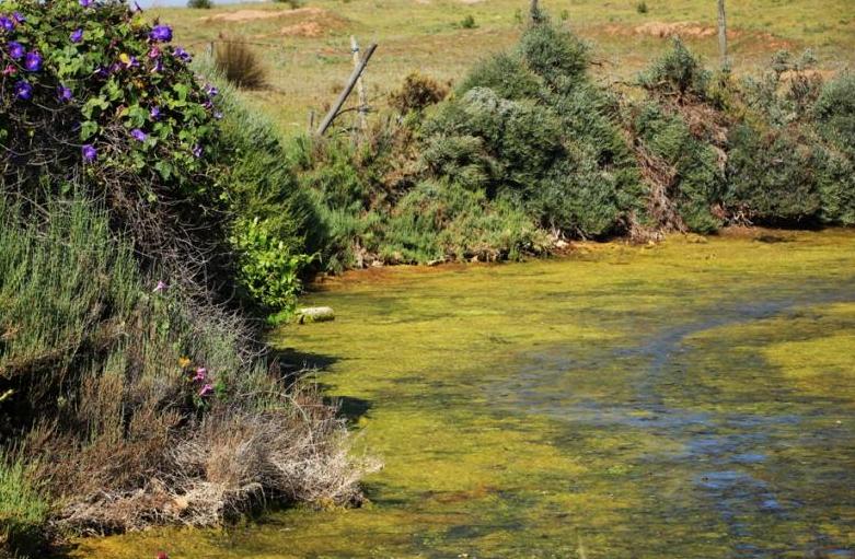 Cover photo of Sítio Ria Formosa