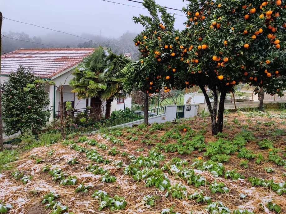 Casa Estêvão- 