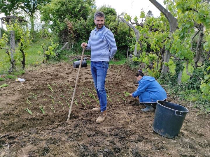 planting onions